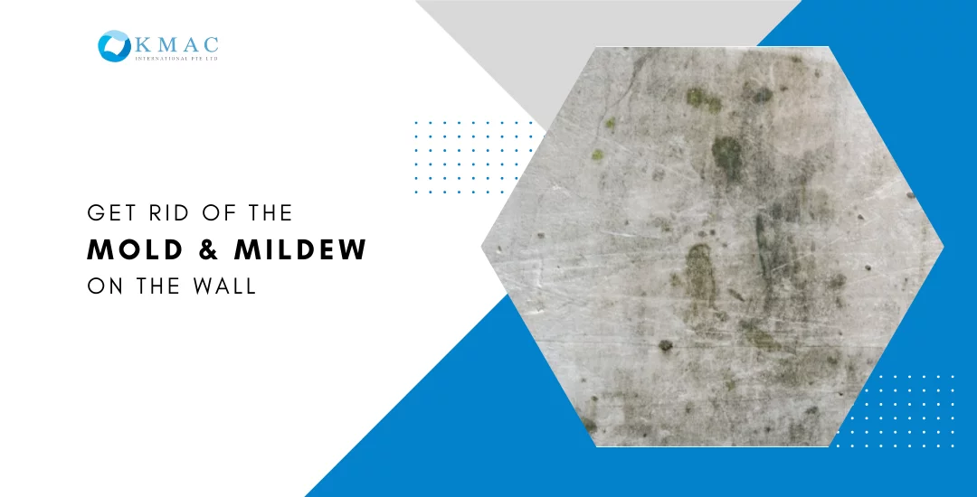 Get Rid Of The Mold On Your Wall