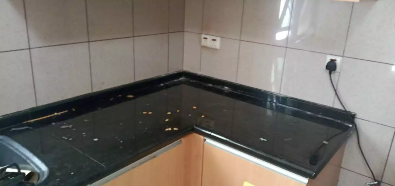 WhatsApp-Image-2020-07-30-at-3.50.35-PM-1